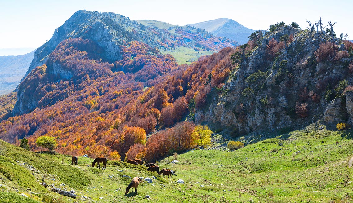 Costantino - Parchi Nazionali: Sila, Pollino, Aspromonte